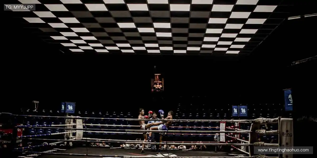 📱弹幕互动，一起狂欢！🏈 体育直播，让孤单不复存在！