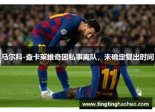 马尔科-查卡莱维奇因私事离队，未确定复出时间