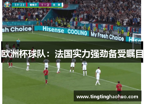 欧洲杯球队：法国实力强劲备受瞩目