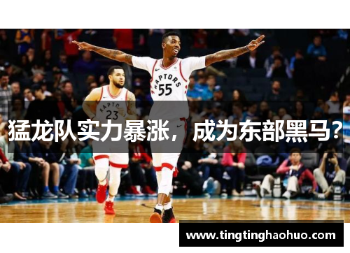 猛龙队实力暴涨，成为东部黑马？