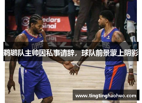 鹈鹕队主帅因私事请辞，球队前景蒙上阴影