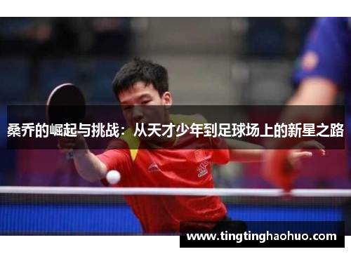 桑乔的崛起与挑战：从天才少年到足球场上的新星之路