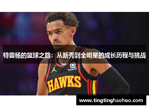 特雷杨的篮球之路：从新秀到全明星的成长历程与挑战