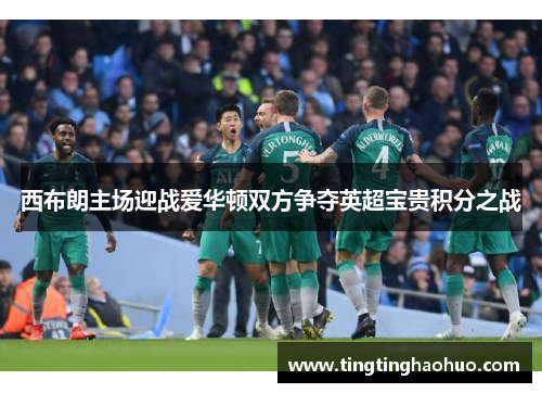 西布朗主场迎战爱华顿双方争夺英超宝贵积分之战