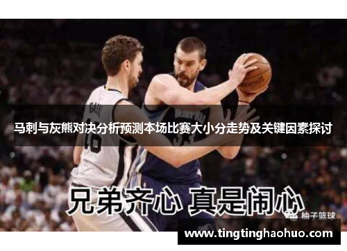 马刺与灰熊对决分析预测本场比赛大小分走势及关键因素探讨