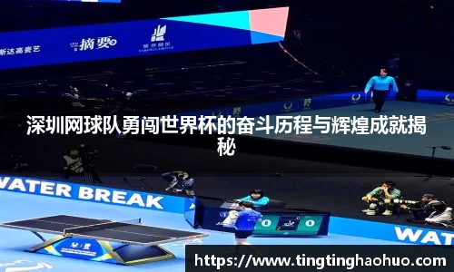 深圳网球队勇闯世界杯的奋斗历程与辉煌成就揭秘