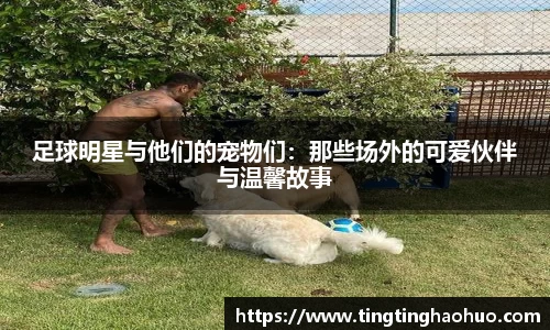 足球明星与他们的宠物们：那些场外的可爱伙伴与温馨故事