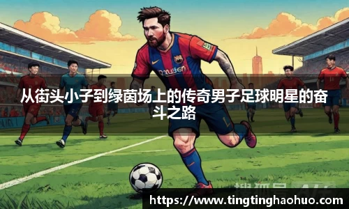 球速体育登录入口